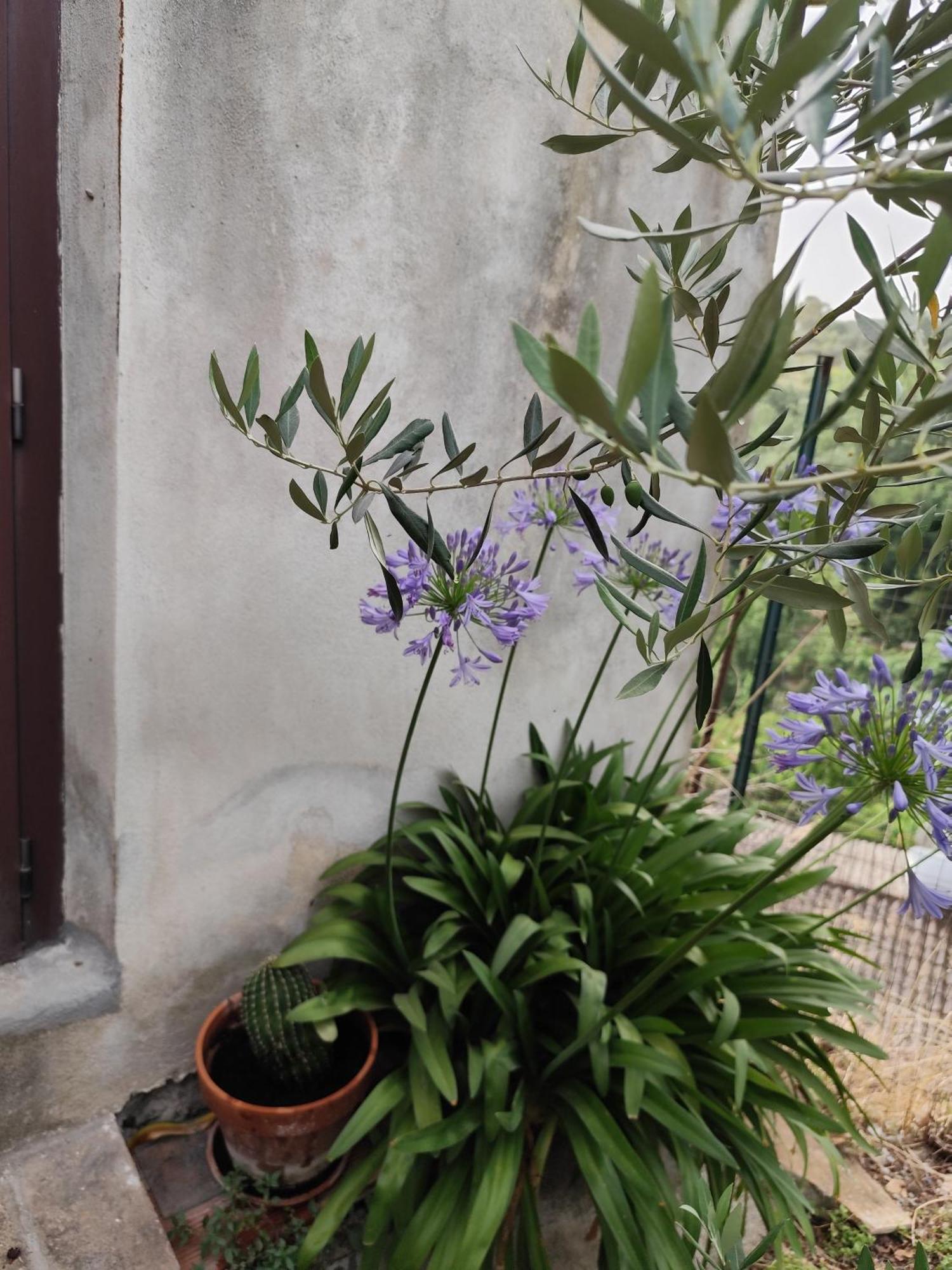 Casa In Antico Borgo Medievale A Tarano Ri, Via Giacomo Leopardi, 15别墅 外观 照片